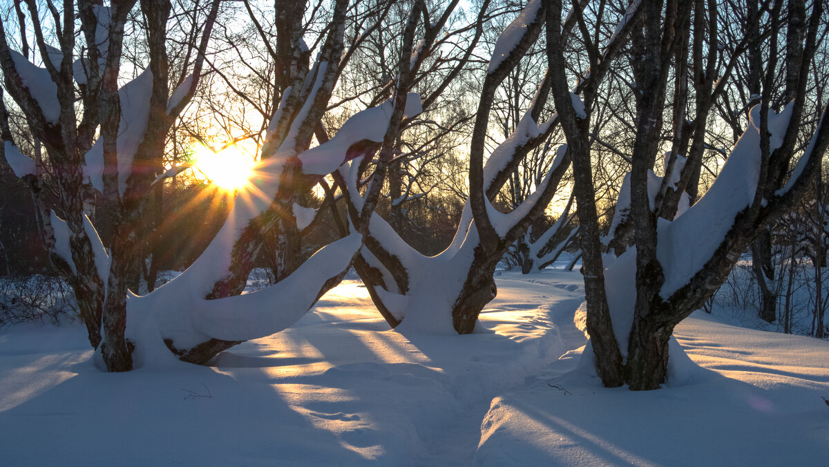 ***** - юрий поляков