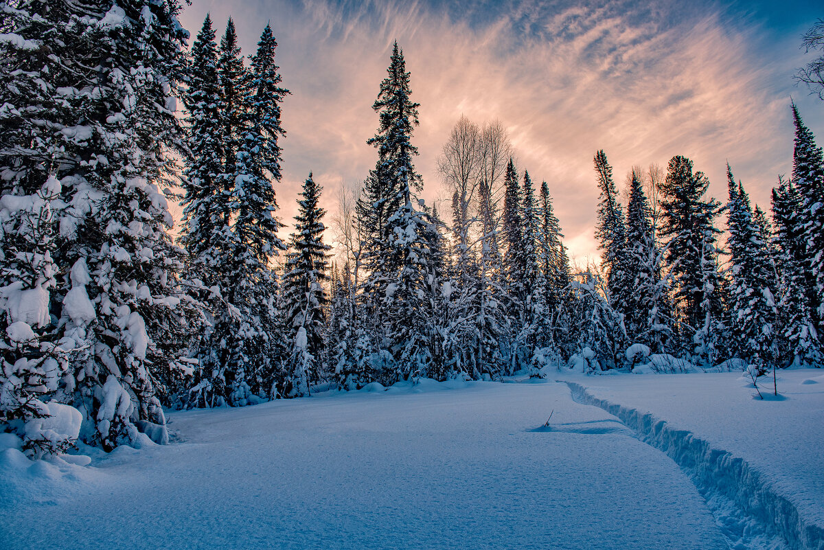 Тайга, расступись... - Виктор Садырин