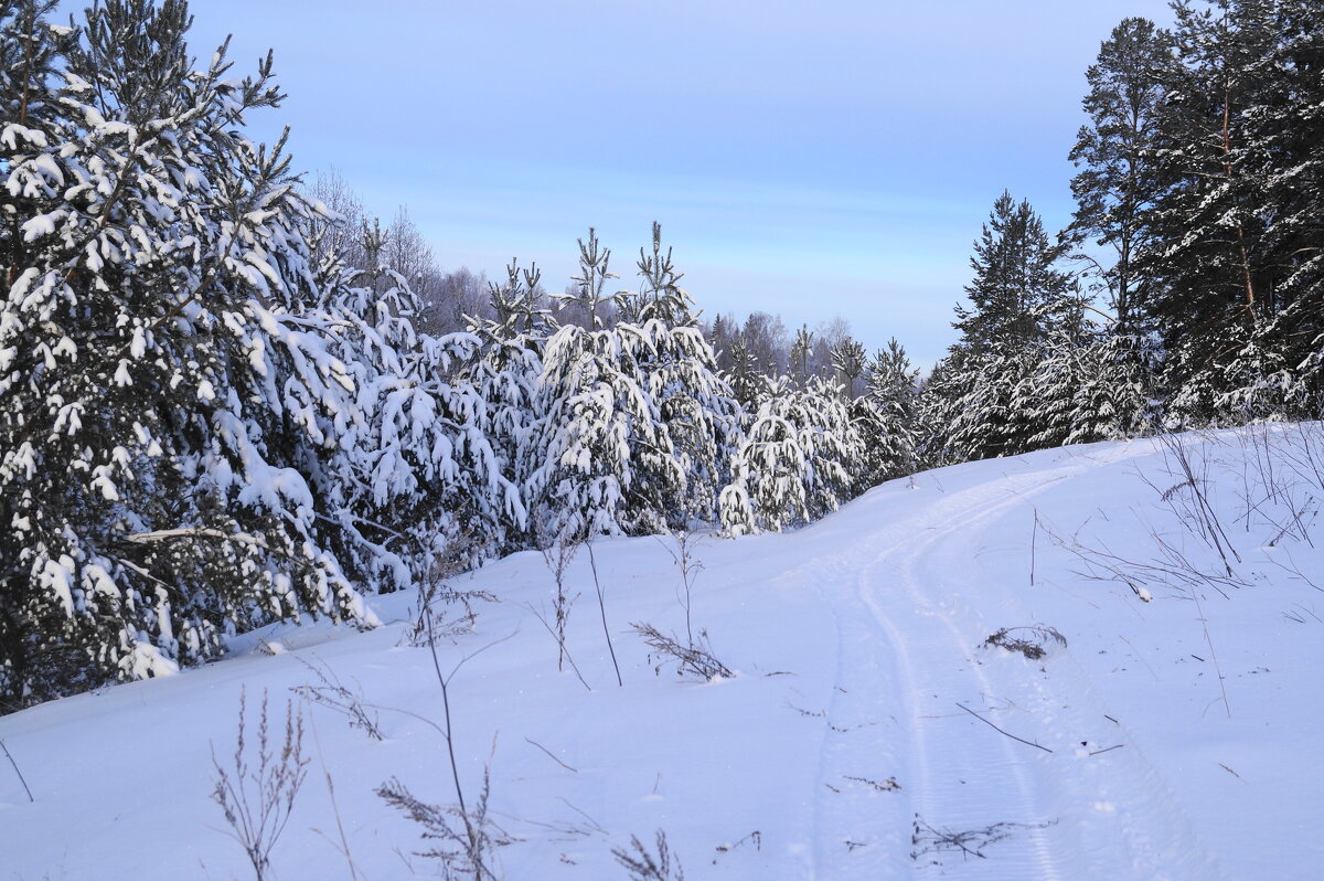 По зимним тропам - Сергей Ц