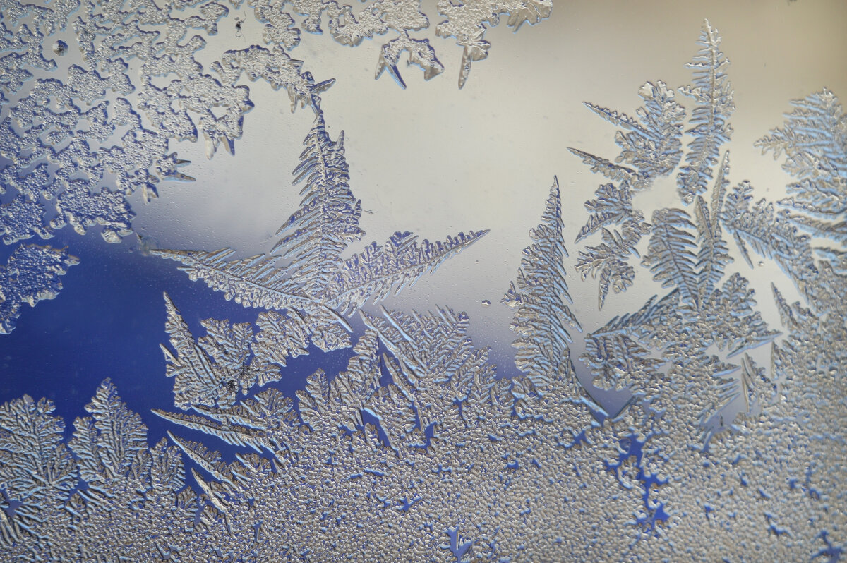 Узоры белой сказки, морозные иголки... - Надежда Куркина 