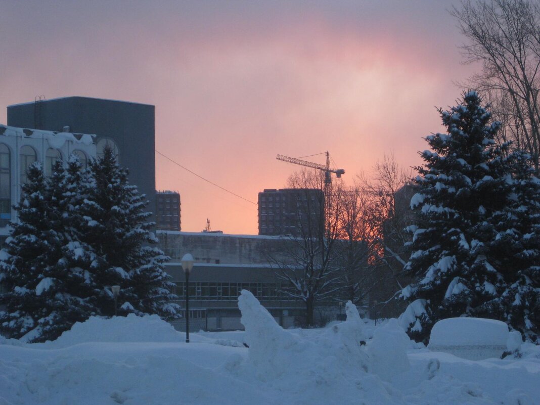 Февральская заря - Дмитрий Никитин