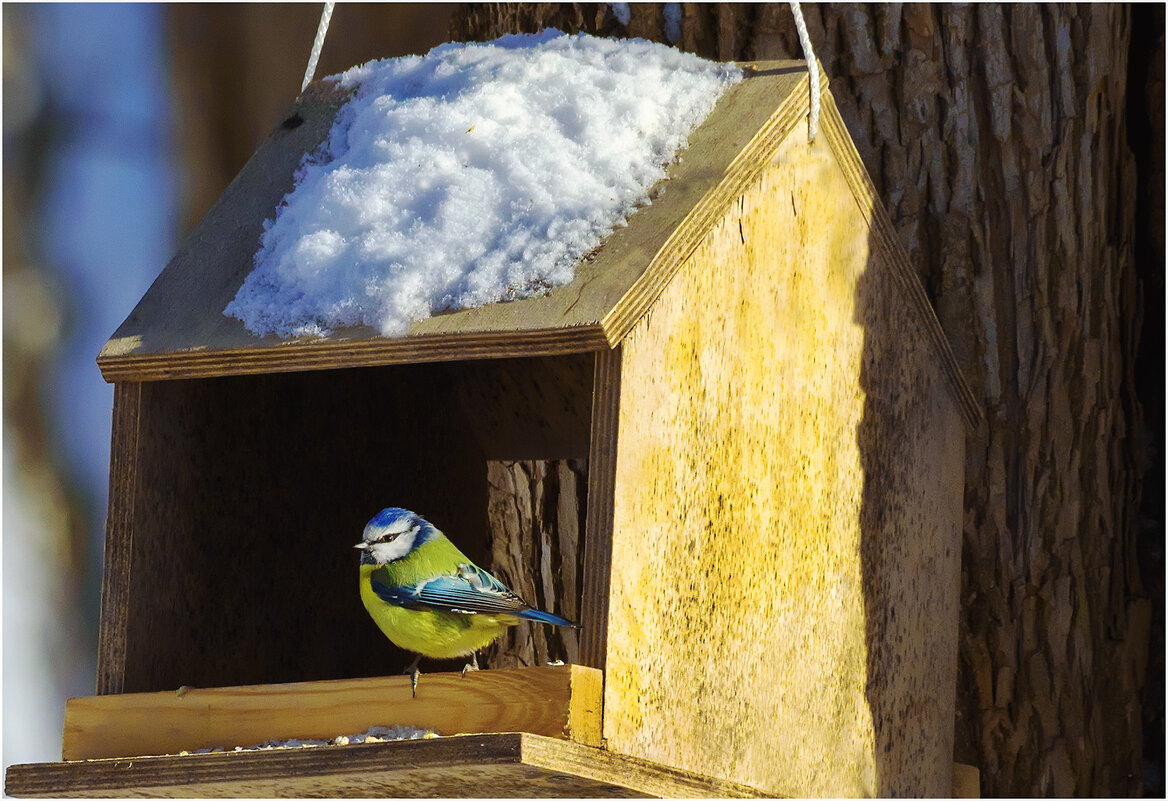 Потеплело - Валентин Котляров