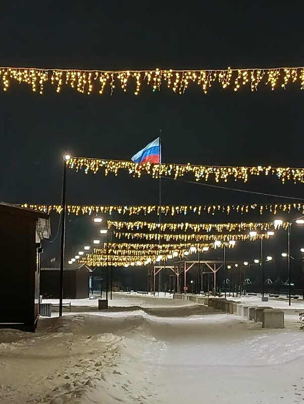 Гордо реет флаг родной! - Людмила Жданова
