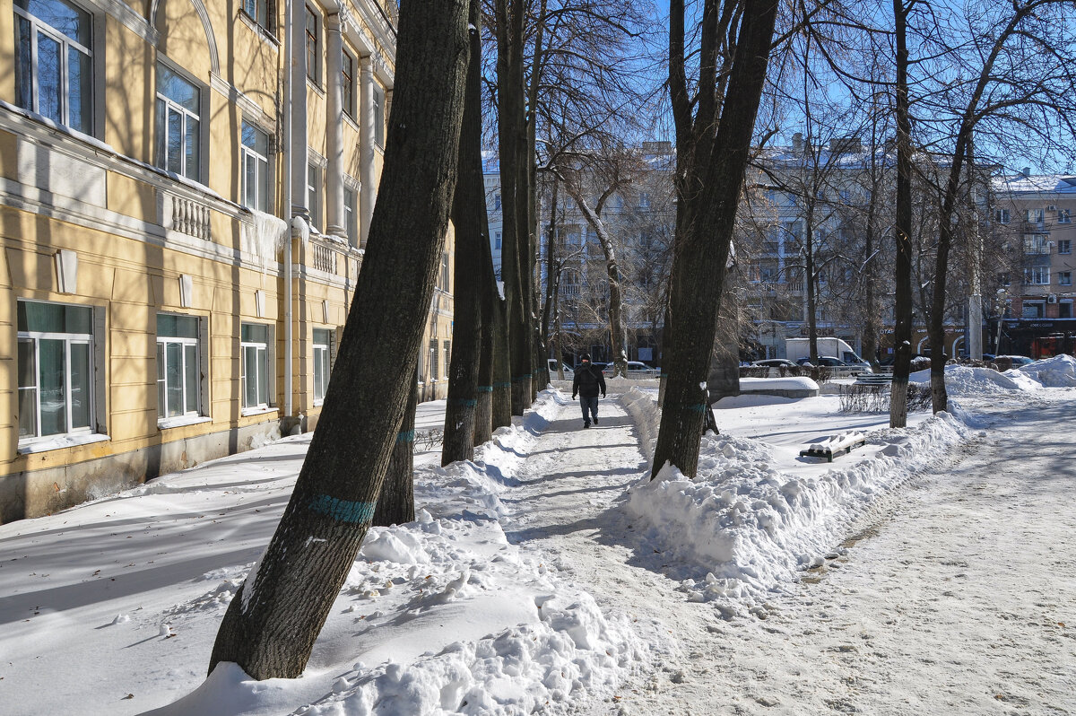 По дорожкам февраля - Татьяна Машошина