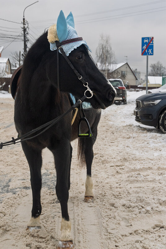 Зарисовки в пути - Michel 