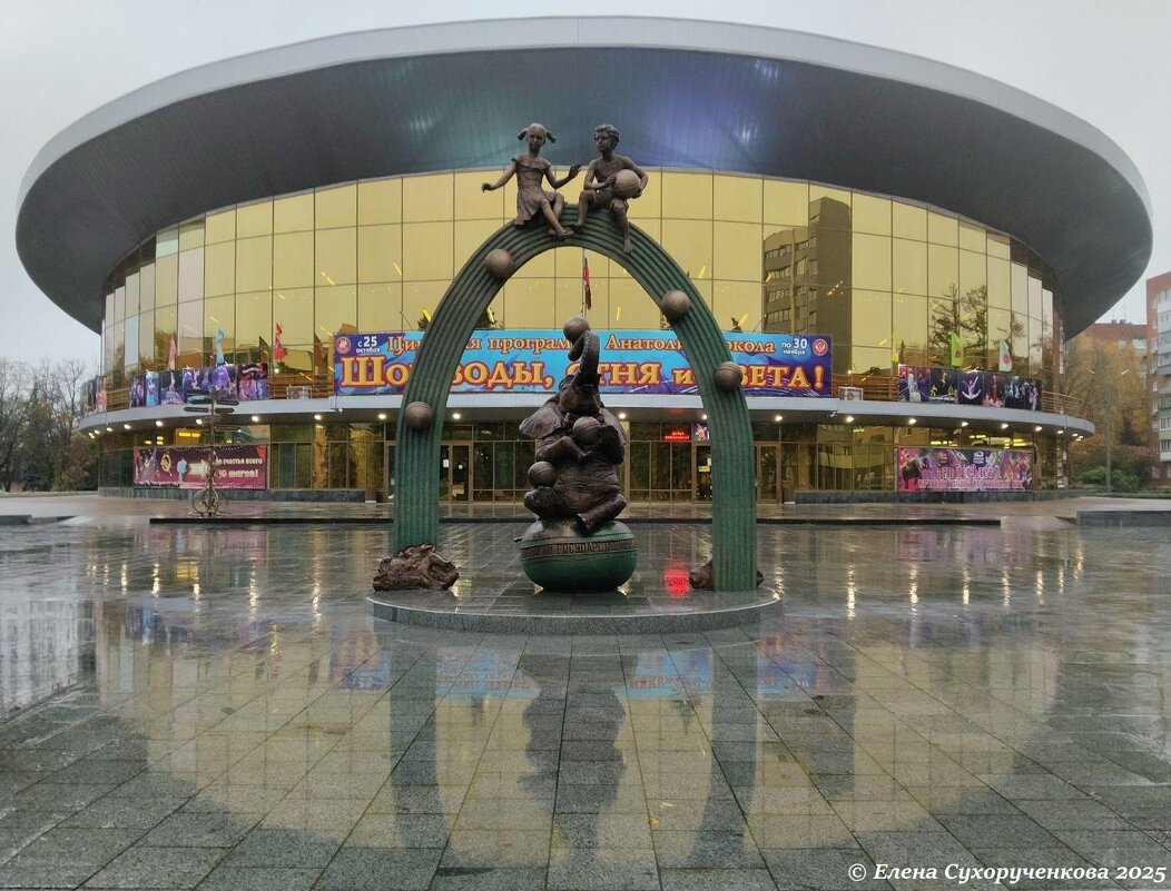 Цирк - Елена Сухорученкова