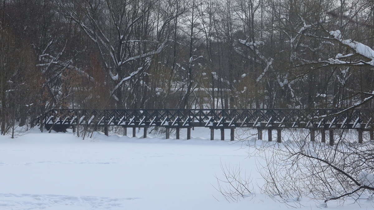 В зимнем парке - Дмитрий И_