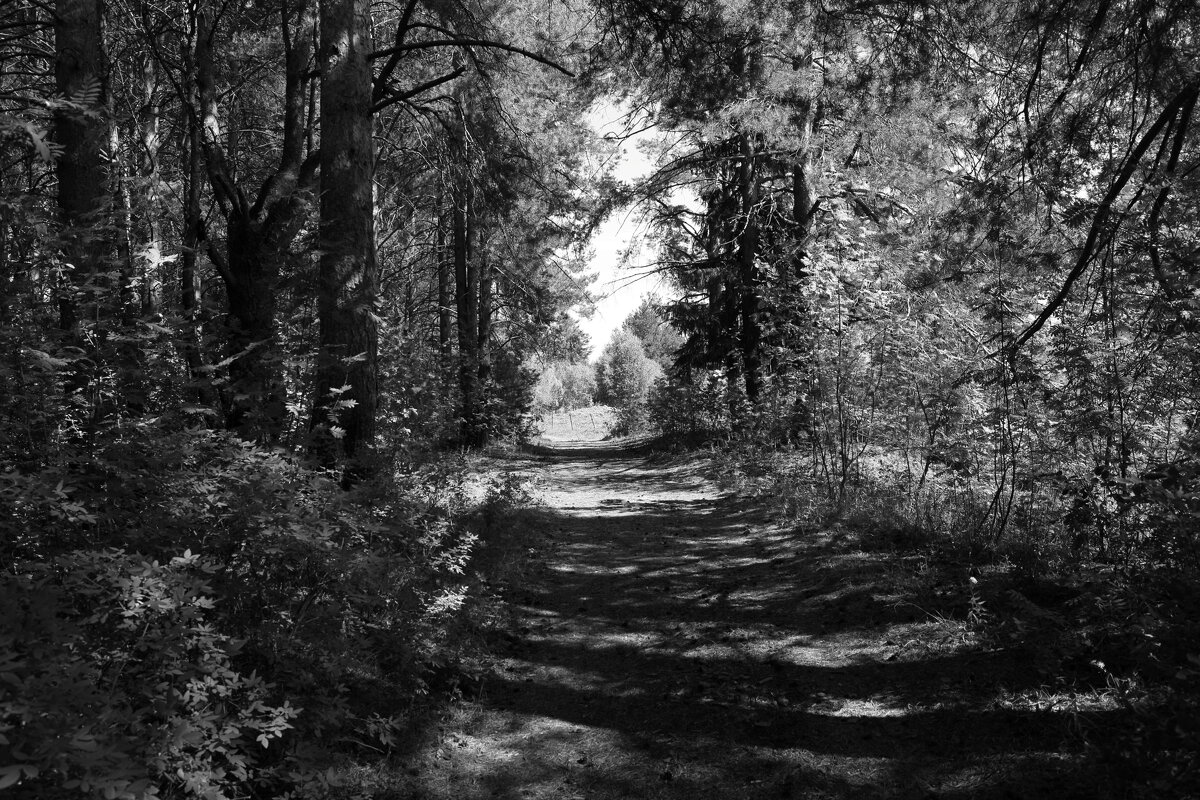 Фотография - Денис Безногов