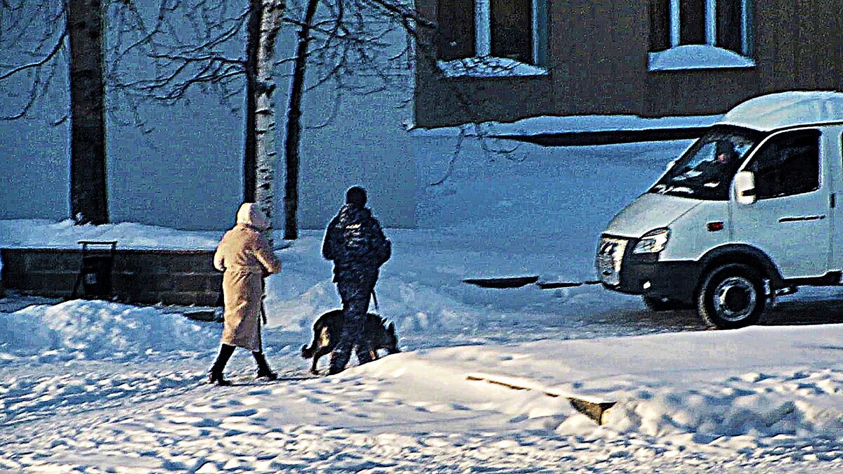 Февраль...Втроем с собакой! - Владимир 