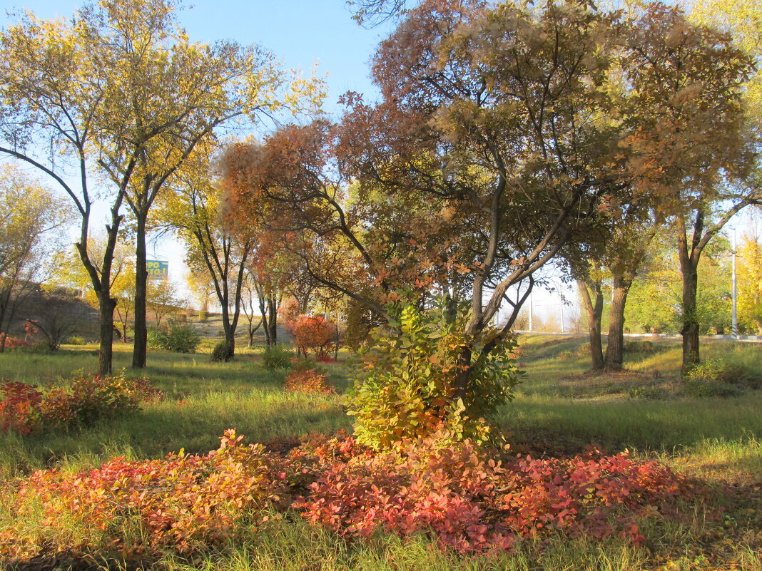 прекрасный октябрь - Елена Шаламова