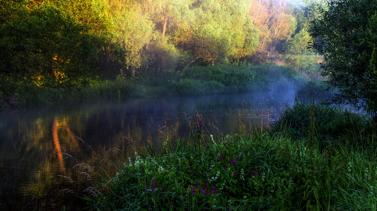 *** - Владимир Безбородов