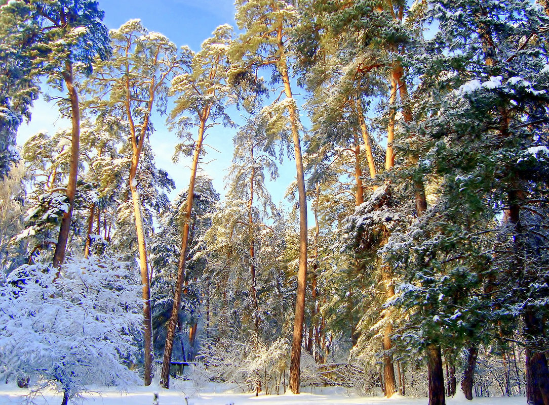 вершины красоты... - Галина Флора