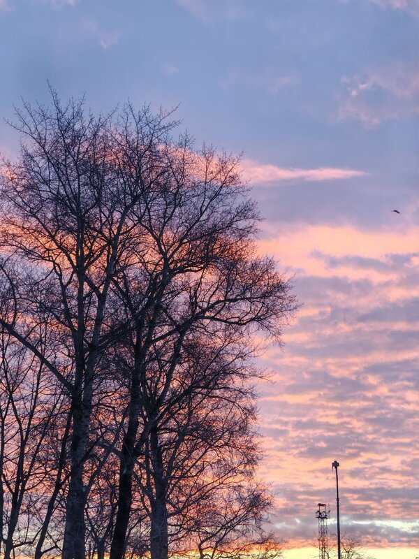 Рассвет - Елена Семигина