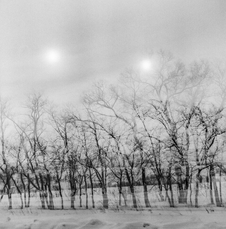 Мульти по неволе - Михаил Соколов