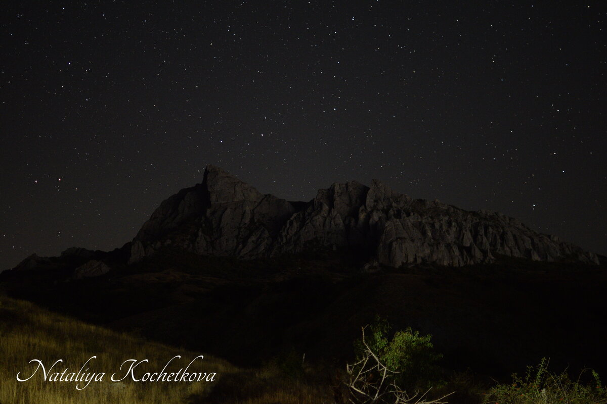 Природа Крыма - Amazing Cosmea