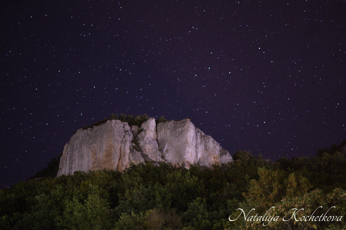 Природа Крыма - Amazing Cosmea