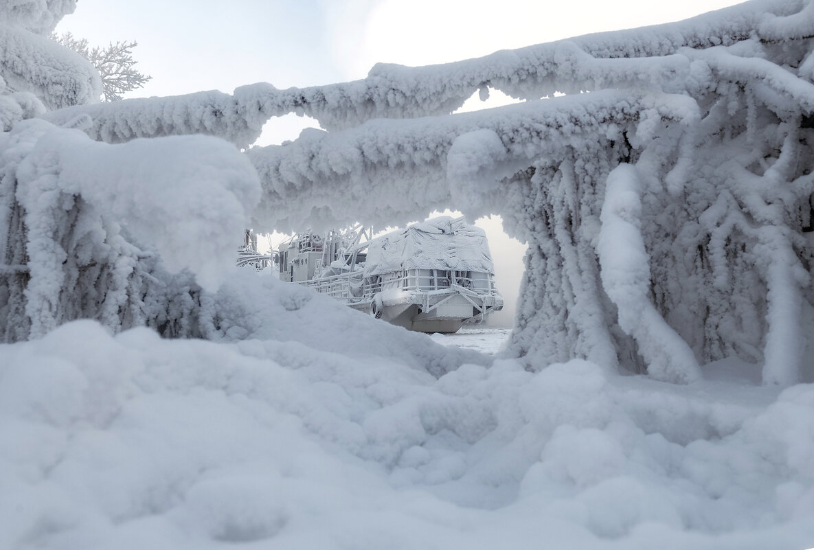 Картина зимы - Марина Фомина.