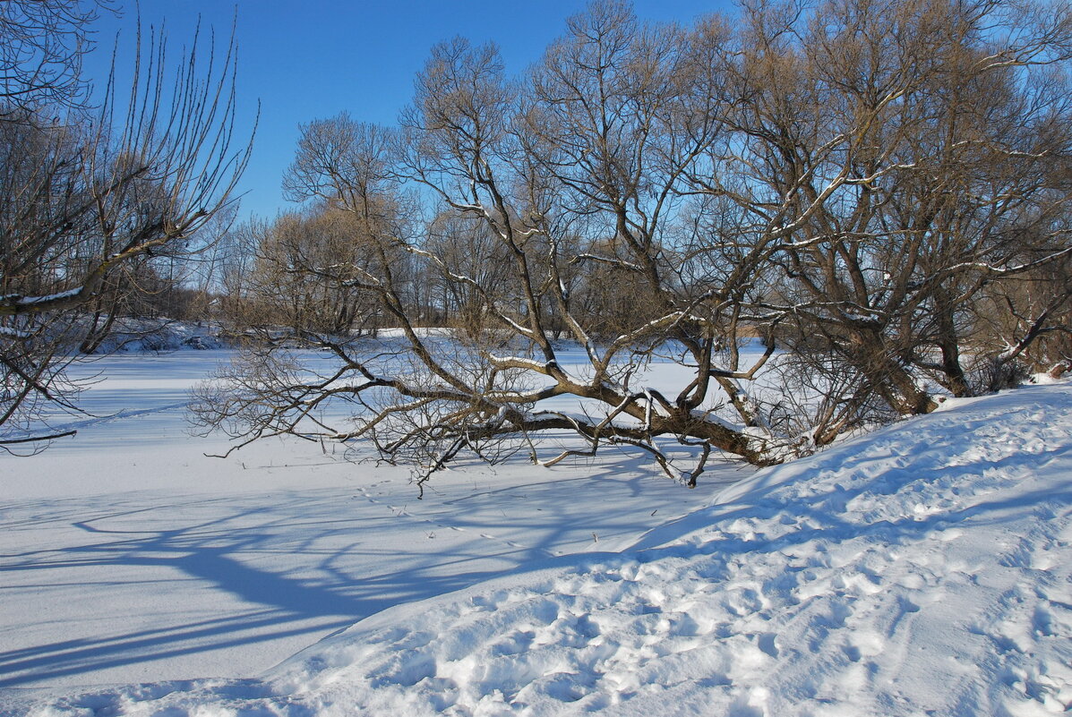 ... - Анастасия Смирнова