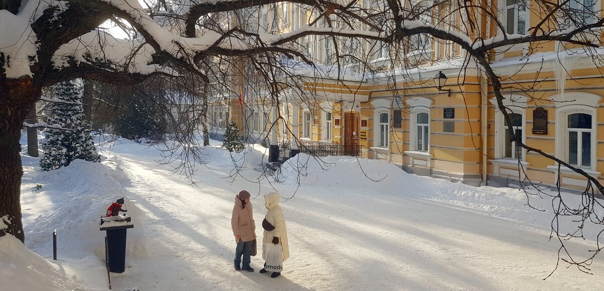 Кот учёный во дворе РГУ - Galina Solovova