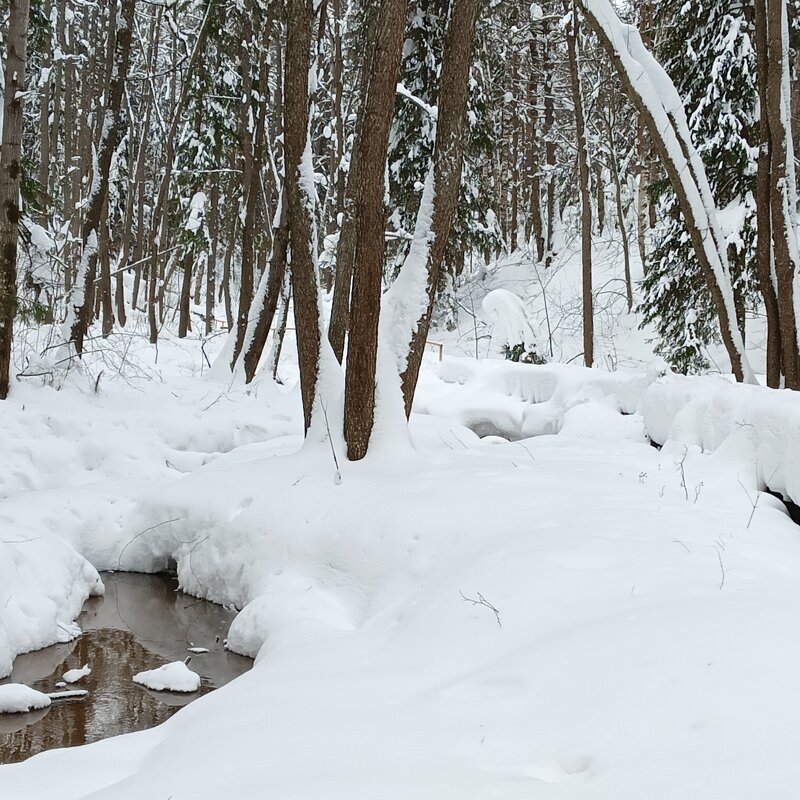 ручей открылся появились любители - Владимир 