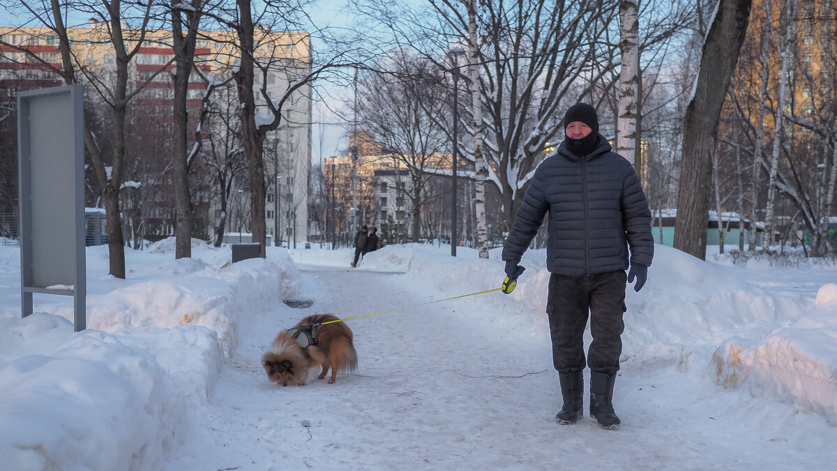***** - юрий поляков