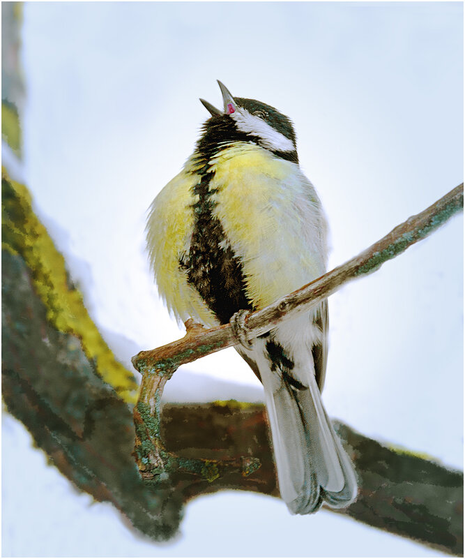 Весенний напев - Валентин Котляров