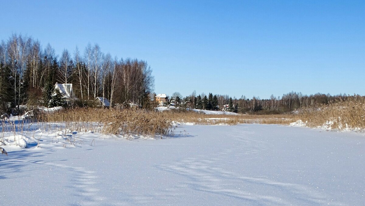 Смоленская область в конце января. - Милешкин Владимир Алексеевич 