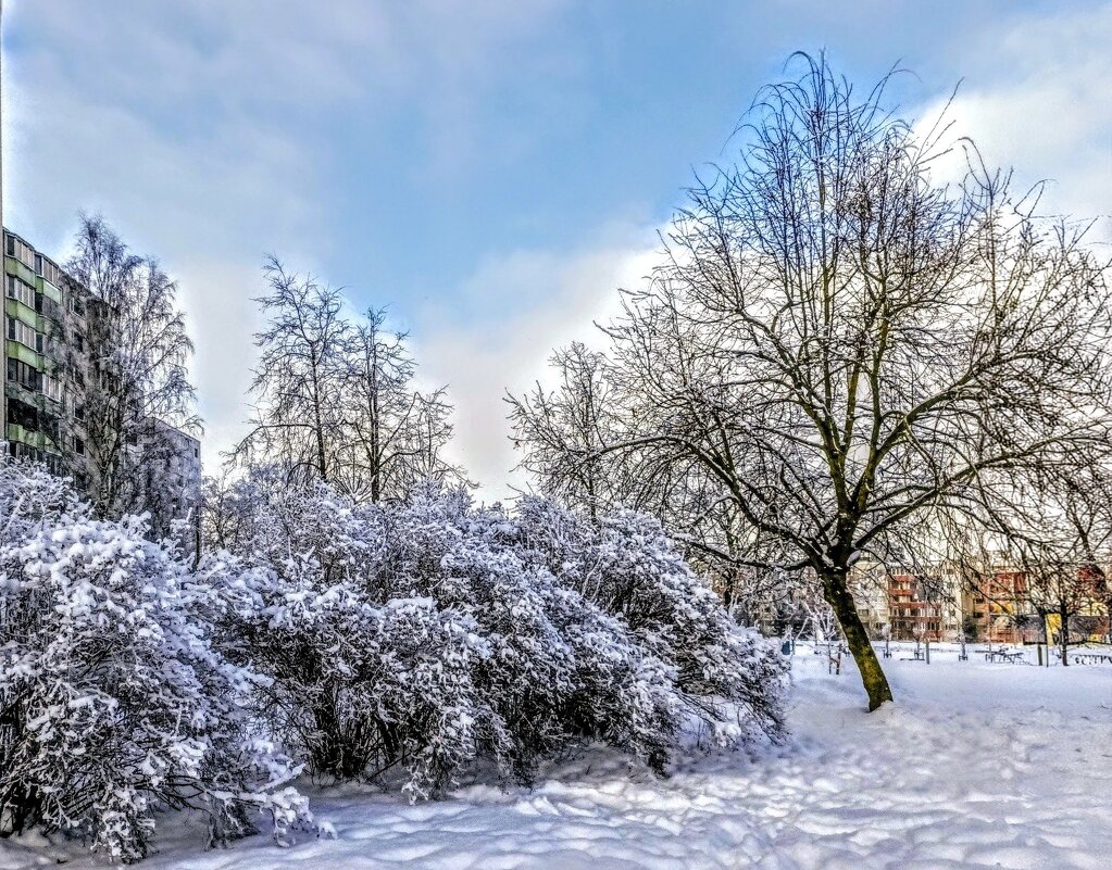 В парке Тондилоо - Veera V
