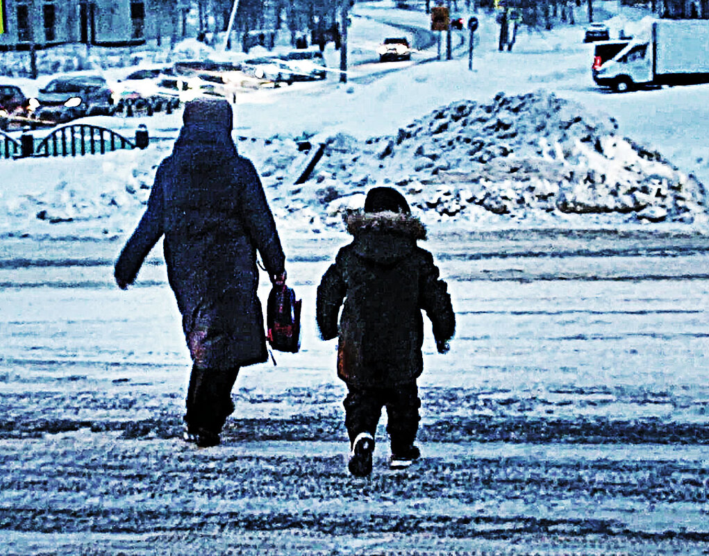 Февраль..Утро..Мама и малыш на переходе! - Владимир 