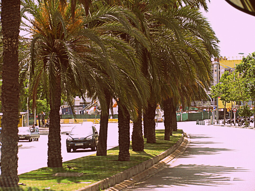 Барселона. - Владимир Драгунский