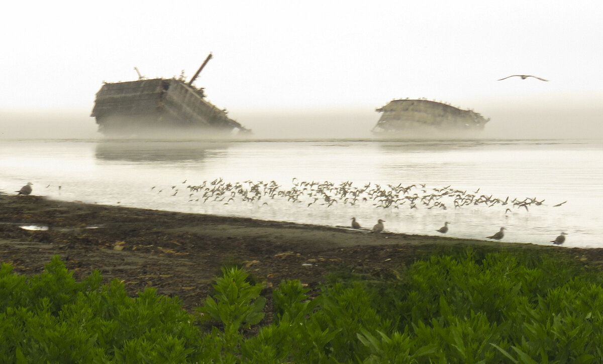 Продолжаем путь к мысу Крильон. - ИРЭН@ .