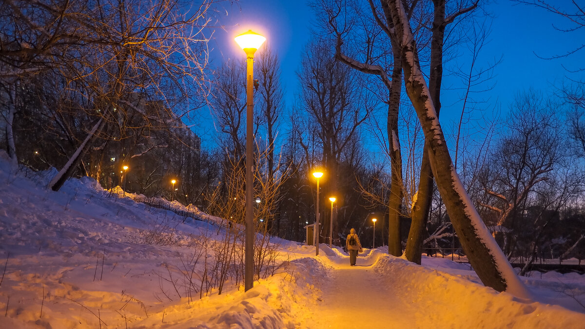 Зимний Вечер в Парке - юрий поляков