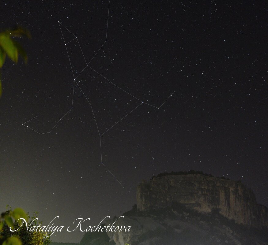 Природа Крыма - Amazing Cosmea