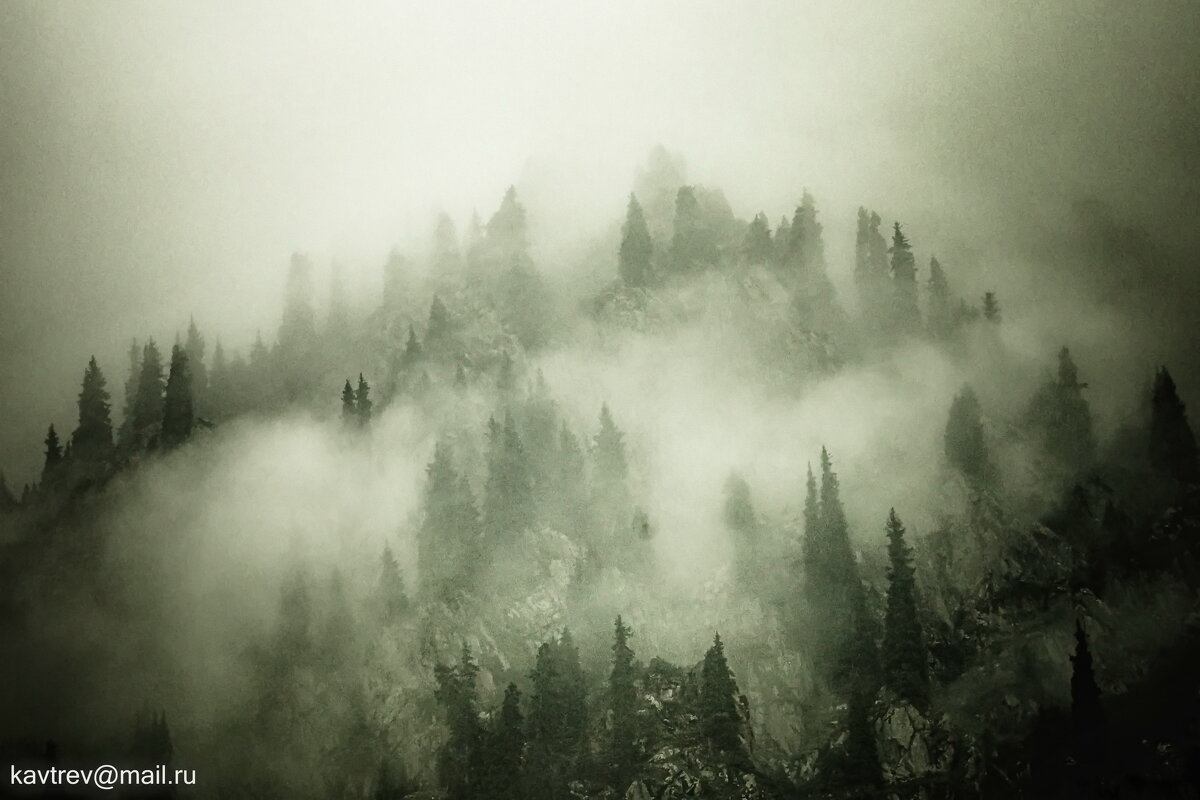 ТУМАН - HART BAD