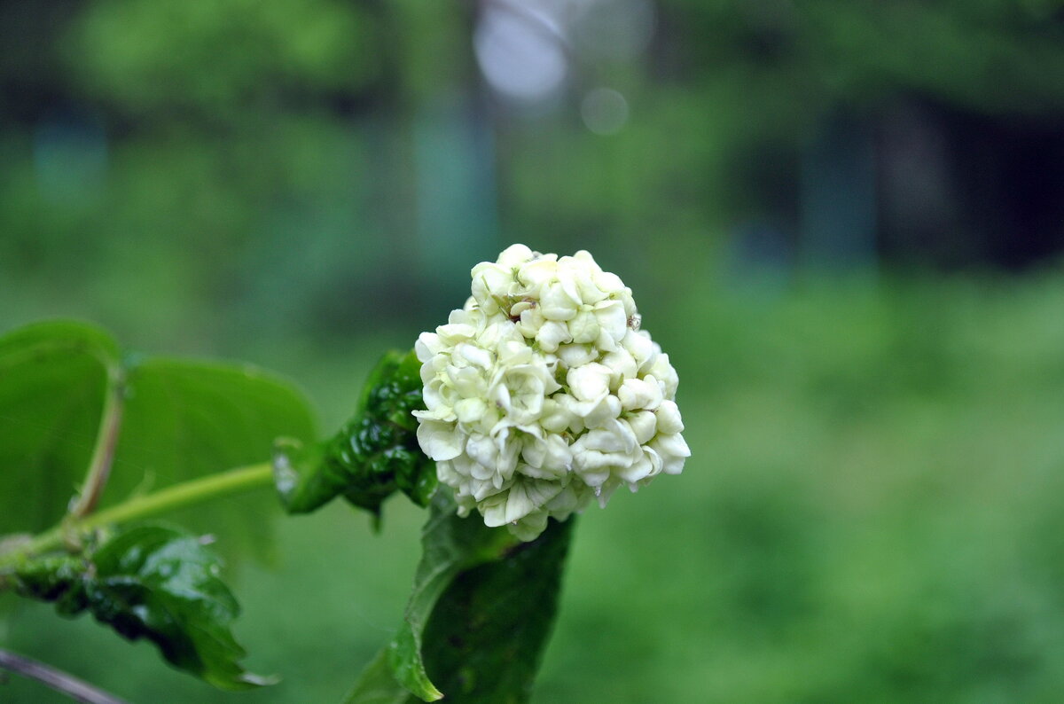 Что-то пошло не так .. - AleksSPb Лесниченко