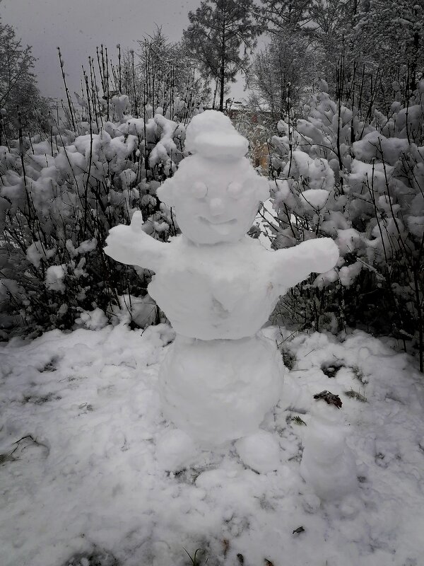 *** - Зоя Мишина