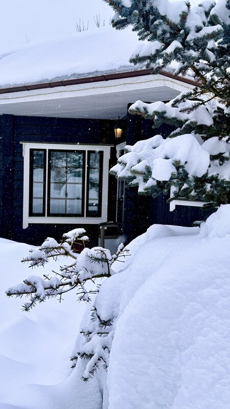 «Идеальная СнеЖность» - Арина Невская