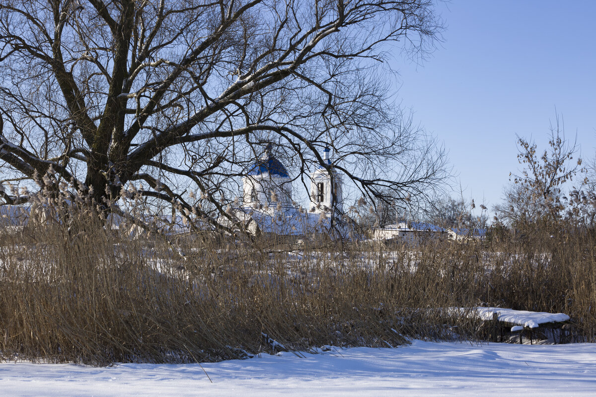 *** - Елена Агеева