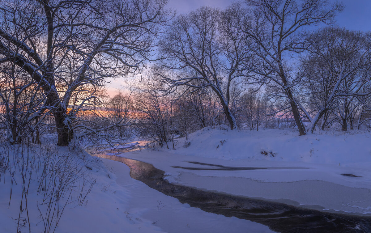 **** - Елизавета .