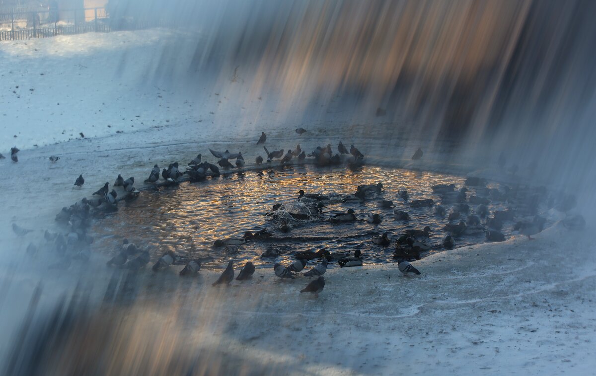 Зима отступила - liudmila drake