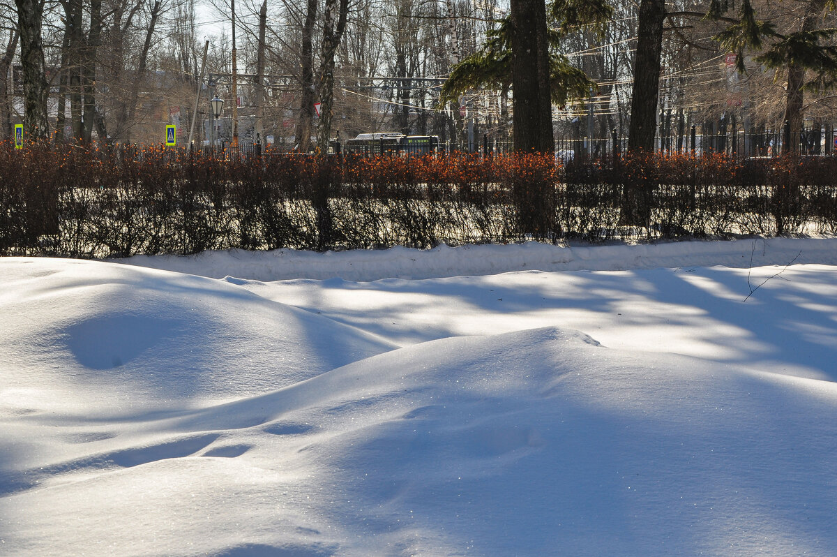 Снег февраля - Татьяна Машошина