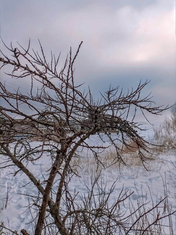 В парке - Veera V