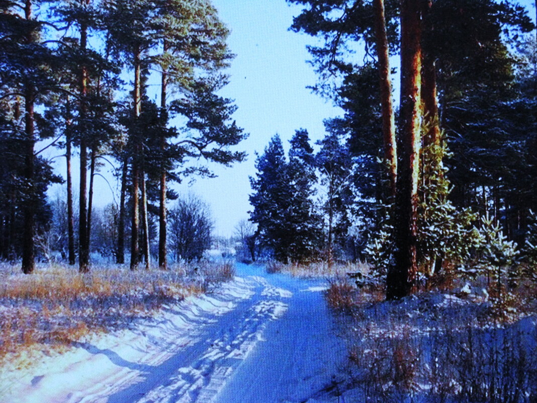 По зимней дороге - Людмила Смородинская