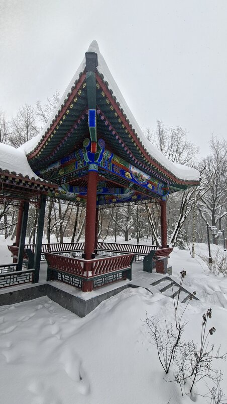 Зима в парке Хуамин. - ИРЭН@ .