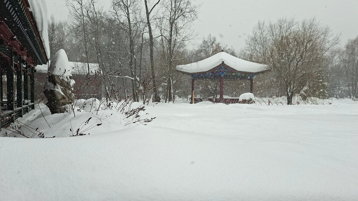 Снегопад - ИРЭН@ .