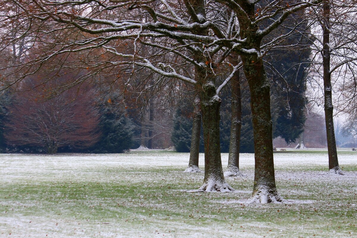 Зимние картинки - Юрий. Шмаков