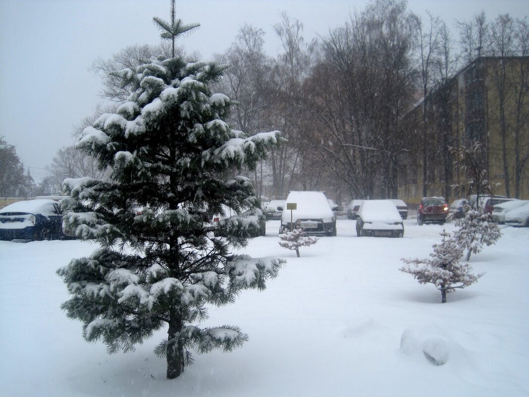 Зима в городе - Елена Семигина