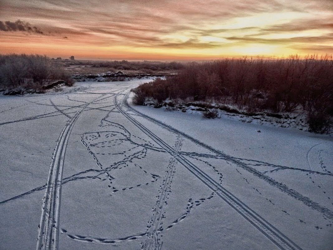 "Тайнопись" на снежном полотне!  :) - Елена Хайдукова  ( Elena Fly )