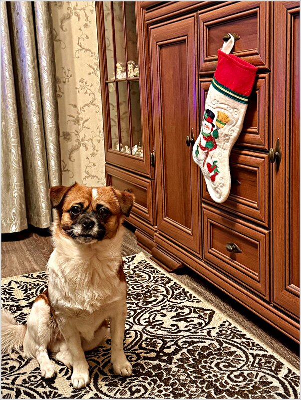 В гостях у бабушки. - Валерия Комова