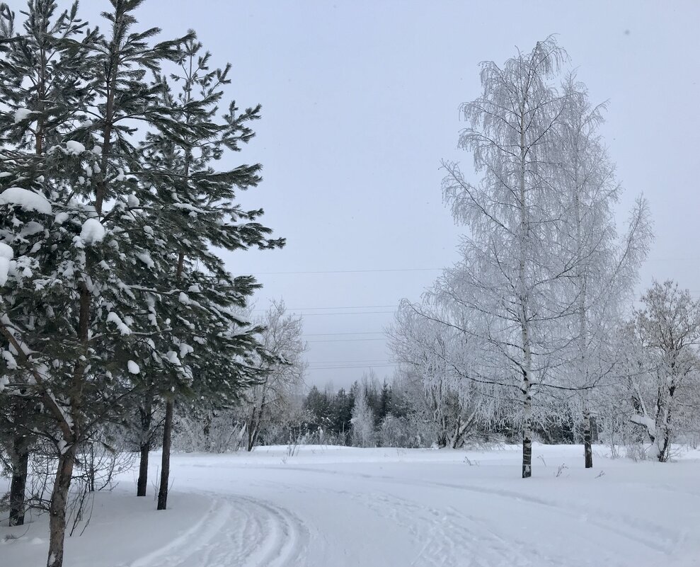 В морозной дымке - Татьяна 